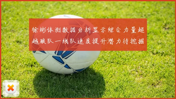 徐彬体测数据分析显示综合力量超越狼队一线队速度提升潜力待挖掘