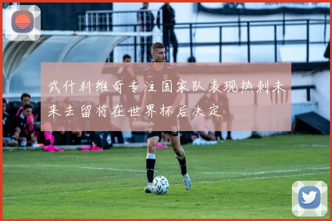 武什科维奇专注国家队表现热刺未来去留将在世界杯后决定